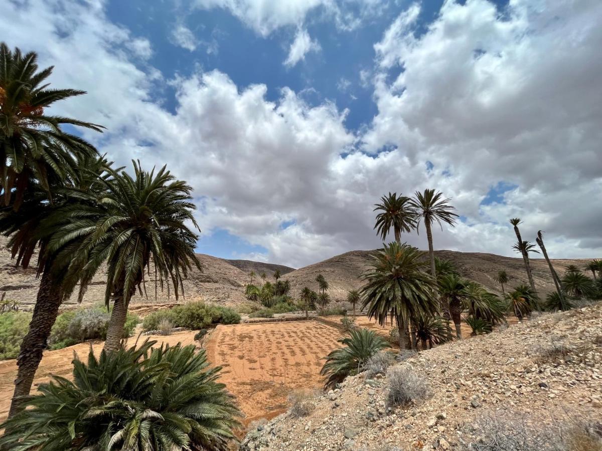 Las Torres Del Castillo, 108Cactus Costa De Antigua Εξωτερικό φωτογραφία
